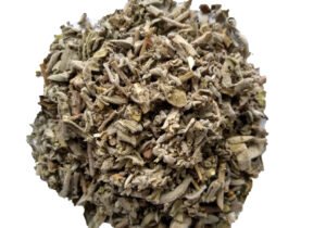 SALVIA MORADA